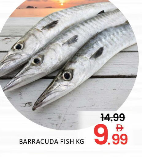 Mango available at مانجو هايبرماركت in الإمارات العربية المتحدة , الامارات - دبي