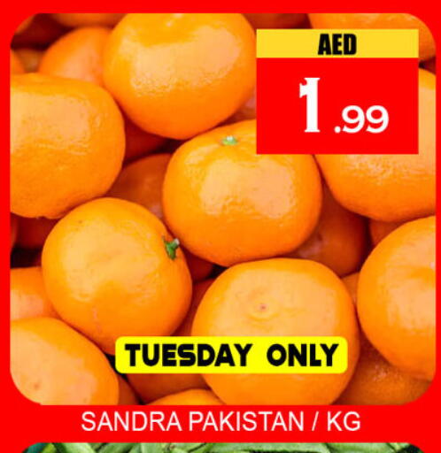 from Pakistan available at Lucky Center in UAE - Sharjah / Ajman