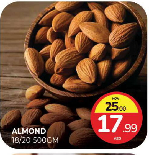 available at المدينة in الإمارات العربية المتحدة , الامارات - الشارقة / عجمان