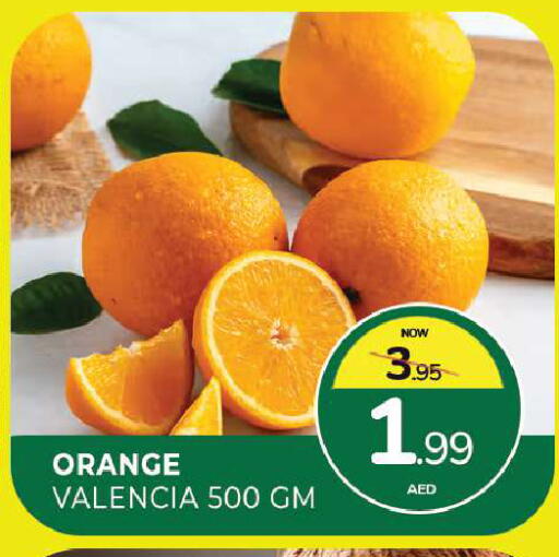 Orange available at المدينة in الإمارات العربية المتحدة , الامارات - الشارقة / عجمان