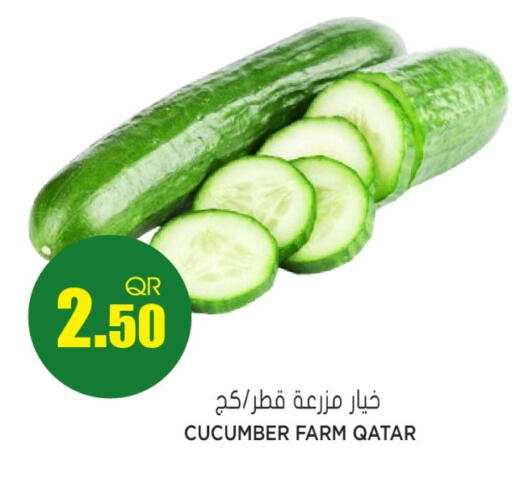 Cucumber from Qatar available at جراند هايبرماركت in قطر - الضعاين