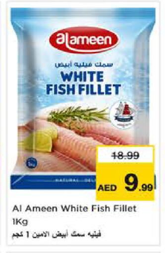 available at نستو هايبرماركت in الإمارات العربية المتحدة , الامارات - أبو ظبي