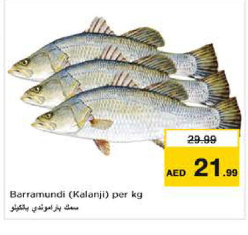 available at نستو هايبرماركت in الإمارات العربية المتحدة , الامارات - أبو ظبي