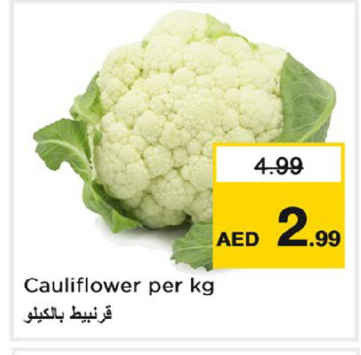 Cauliflower available at نستو هايبرماركت in الإمارات العربية المتحدة , الامارات - دبي