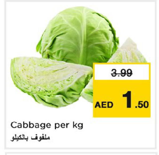 Cabbage available at نستو هايبرماركت in الإمارات العربية المتحدة , الامارات - دبي