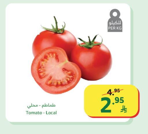 Tomato available at الراية in مملكة العربية السعودية, السعودية, سعودية - الباحة