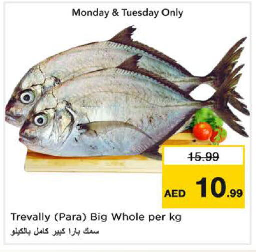 available at Nesto Hypermarket in UAE - Dubai