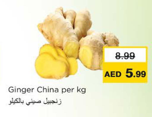 Ginger from China available at نستو هايبرماركت in الإمارات العربية المتحدة , الامارات - رَأْس ٱلْخَيْمَة