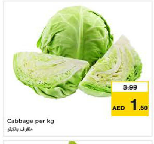 Cabbage available at نستو هايبرماركت in الإمارات العربية المتحدة , الامارات - ٱلْفُجَيْرَة‎