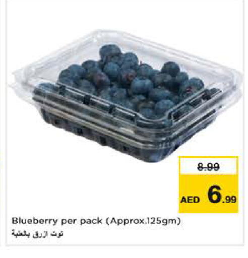 Blueberry BlueBerry available at نستو هايبرماركت in الإمارات العربية المتحدة , الامارات - ٱلْفُجَيْرَة‎