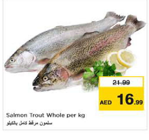 available at نستو هايبرماركت in الإمارات العربية المتحدة , الامارات - أبو ظبي