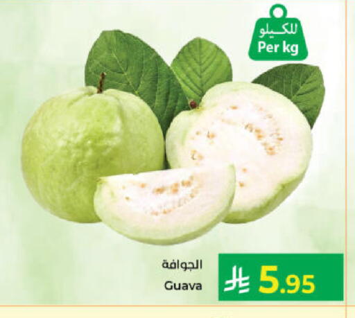 Guava available at Kabayan Hypermarket in KSA, Saudi Arabia, Saudi - Yanbu