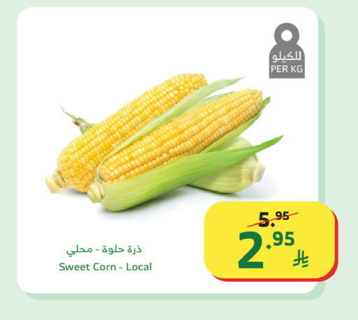 available at Al Raya in KSA, Saudi Arabia, Saudi - Yanbu