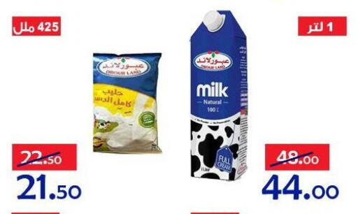 available at الدنيا بخير in Egypt - القاهرة