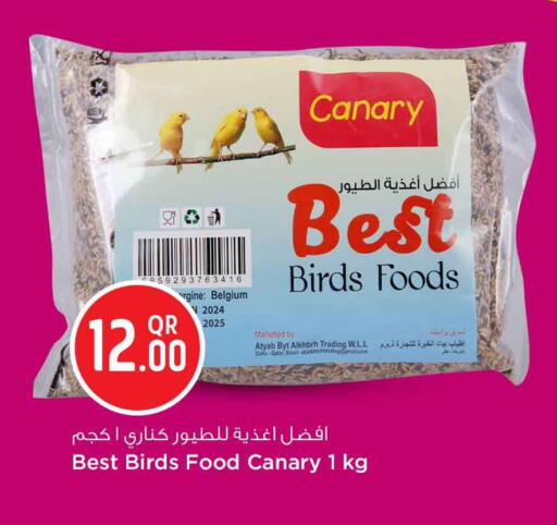 available at سفاري هايبر ماركت in قطر - الخور