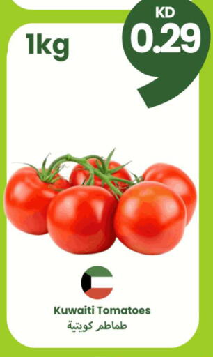 Tomato from Kuwait available at Taw9eel.com in Kuwait - Kuwait City