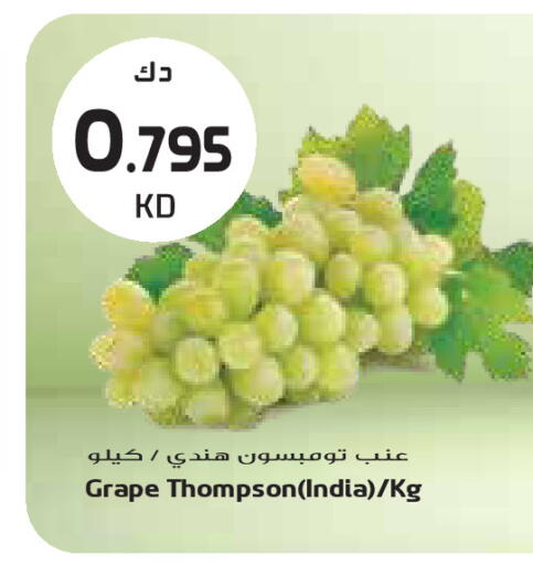 from India available at جراند كوستو in الكويت - محافظة الأحمدي