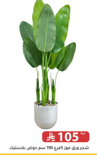 available at تخفيضات العائلة in مملكة العربية السعودية, السعودية, سعودية - الرياض