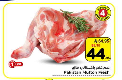 available at هايبر الوفاء in مملكة العربية السعودية, السعودية, سعودية - المنطقة الشرقية