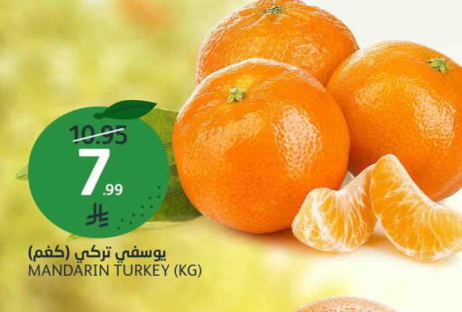 Mandarin from Turkey available at AlJazera Shopping Center in KSA, Saudi Arabia, Saudi - Riyadh