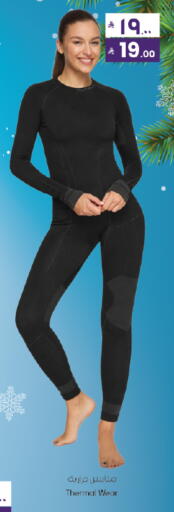 available at City Flower in KSA, Saudi Arabia, Saudi - Hail