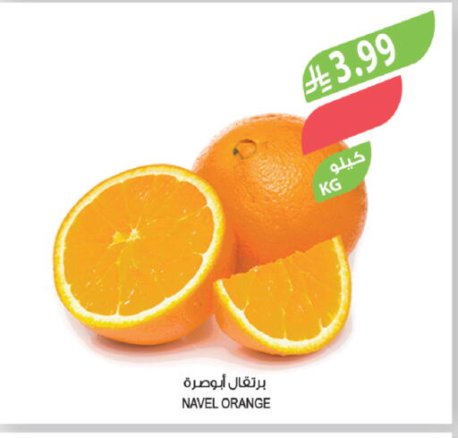 Orange available at Farm  in KSA, Saudi Arabia, Saudi - Khafji