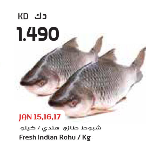 available at جراند كوستو in الكويت - محافظة الأحمدي