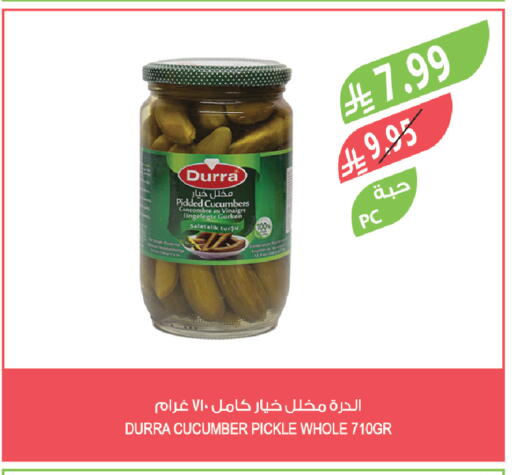 Cucumber available at Farm  in KSA, Saudi Arabia, Saudi - Jeddah