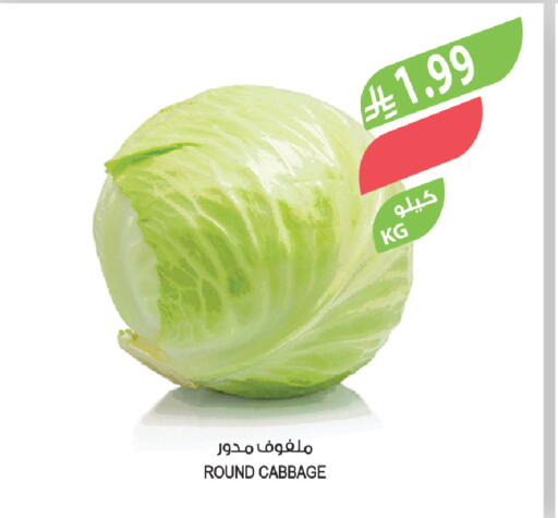 Cabbage available at المزرعة in مملكة العربية السعودية, السعودية, سعودية - الخبر‎