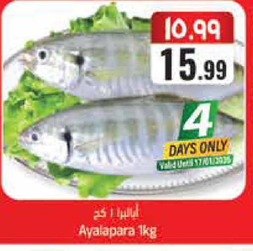 available at ستي فلاور in مملكة العربية السعودية, السعودية, سعودية - الجبيل‎