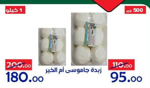 available at الدنيا بخير in Egypt - القاهرة
