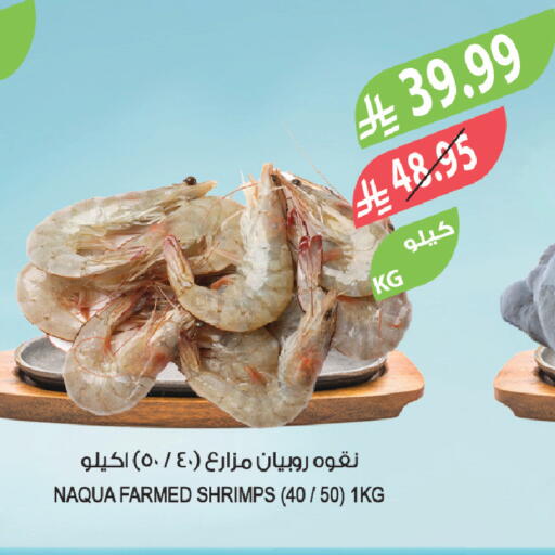 available at Farm  in KSA, Saudi Arabia, Saudi - Sakaka