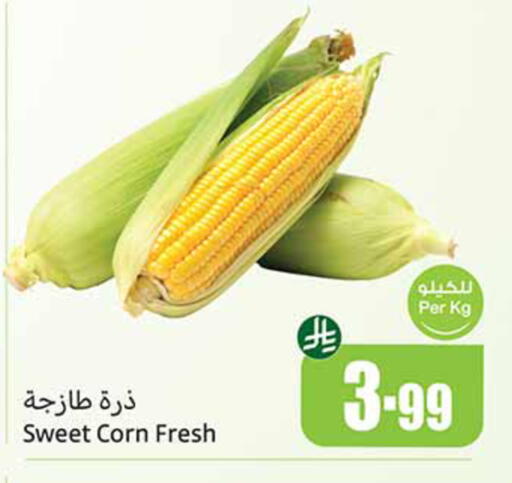 available at Othaim Markets in KSA, Saudi Arabia, Saudi - Rafha