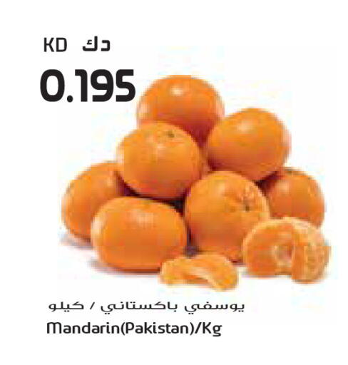 Mandarin from Pakistan available at جراند كوستو in الكويت - محافظة الأحمدي