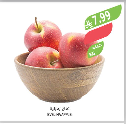 Apple available at المزرعة in مملكة العربية السعودية, السعودية, سعودية - تبوك