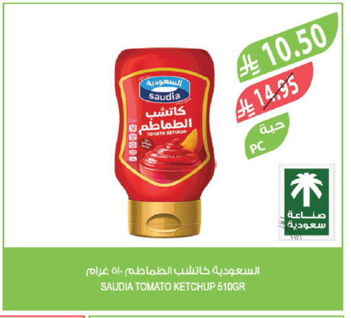 Tomato available at Farm  in KSA, Saudi Arabia, Saudi - Saihat