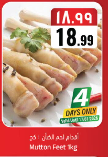 available at ستي فلاور in مملكة العربية السعودية, السعودية, سعودية - حائل‎