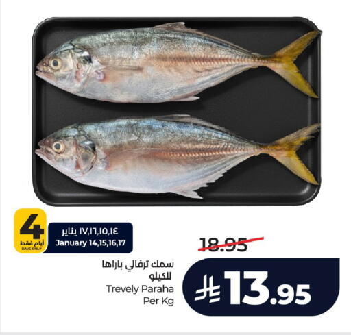 available at لولو هايبرماركت in مملكة العربية السعودية, السعودية, سعودية - الرياض