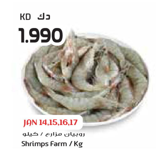 available at جراند كوستو in الكويت - مدينة الكويت