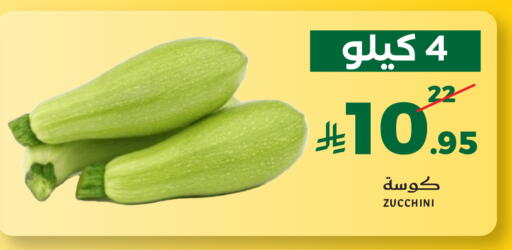 Zucchini available at ميرا مارت مول in مملكة العربية السعودية, السعودية, سعودية - جدة