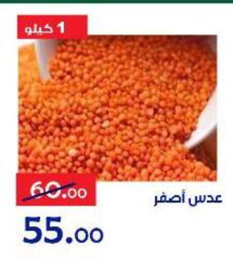available at الدنيا بخير in Egypt - القاهرة