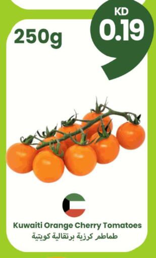 Orange Cherry Tomato available at توصيل  in الكويت - محافظة الأحمدي