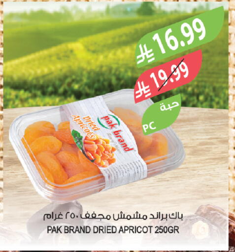 Apricot available at المزرعة in مملكة العربية السعودية, السعودية, سعودية - الخبر‎