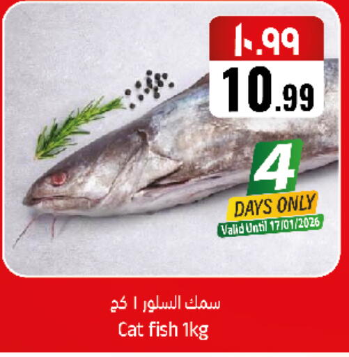 available at City Flower in KSA, Saudi Arabia, Saudi - Sakaka