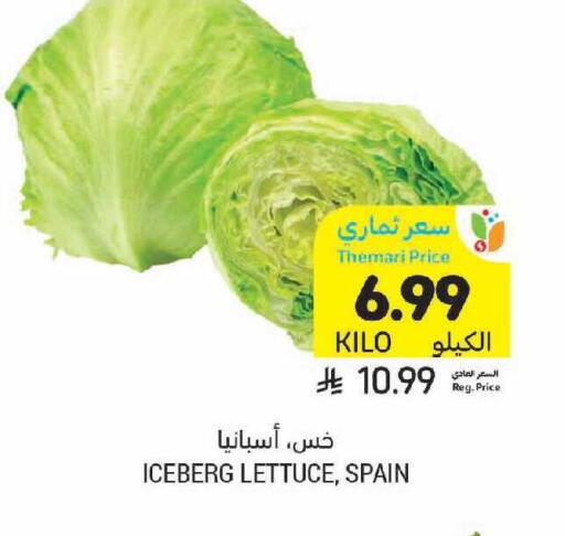 Lettuce from Spain available at Tamimi Market in KSA, Saudi Arabia, Saudi - Tabuk