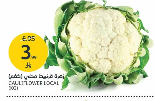 Cauliflower available at AlJazera Shopping Center in KSA, Saudi Arabia, Saudi - Riyadh