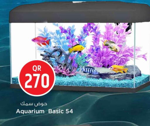 available at Safari Hypermarket in Qatar - Al Daayen