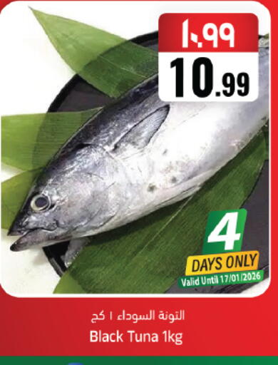 available at ستي فلاور in مملكة العربية السعودية, السعودية, سعودية - حائل‎