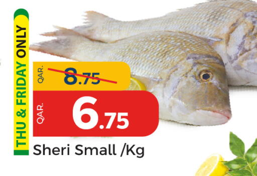 available at باريس هايبرماركت in قطر - الشحانية