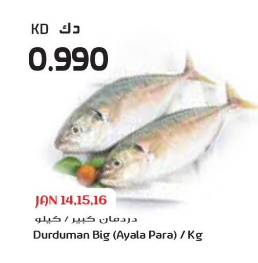 available at Grand Costo in Kuwait - Kuwait City